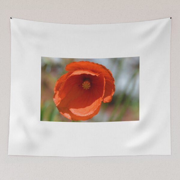 Artikelvorschau, Single Red Poppy .......... entworfen und verkauft von lynn carter.