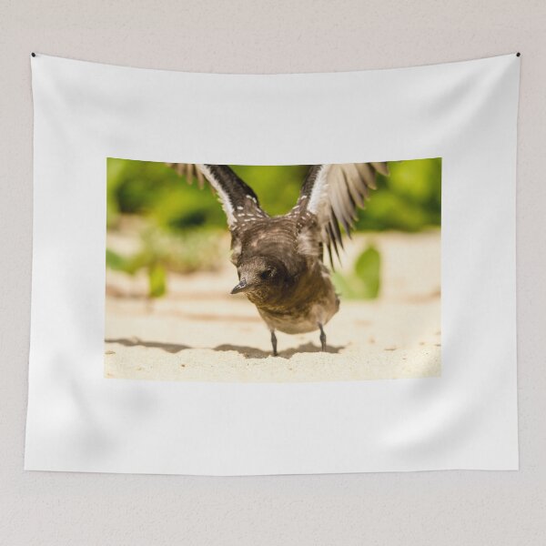 Item preview, Baby Sooty Tern Finding His Wings designed and sold by Stephen Quennell.