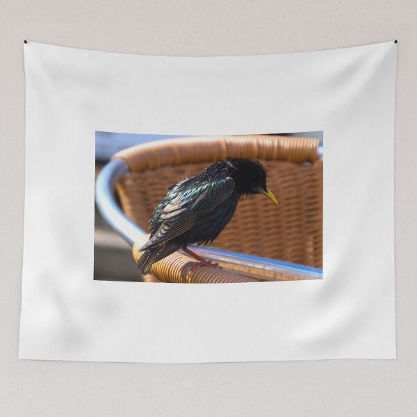 Item preview, Young Starling at West Bay, Dorset uk designed and sold by lynn carter.
