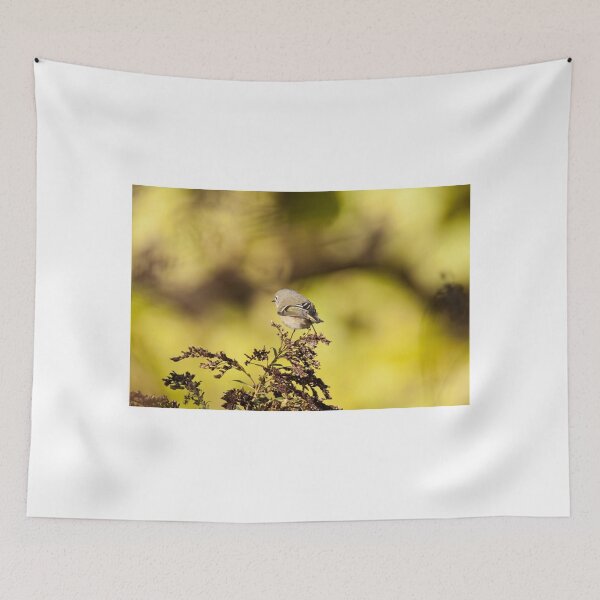 Item preview, Kinglet designed and sold by EugeJ.