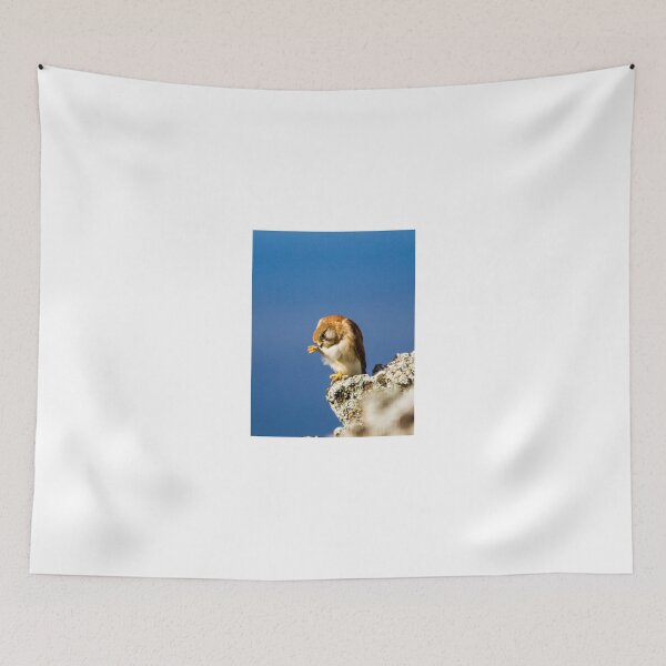 Item preview, nankin kestrel preening  designed and sold by Stephen Quennell.