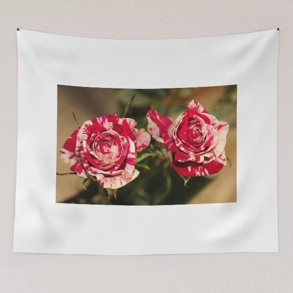 Item preview, Look At Us :) designed and sold by vbk70.
