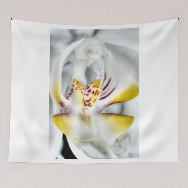 Item preview.