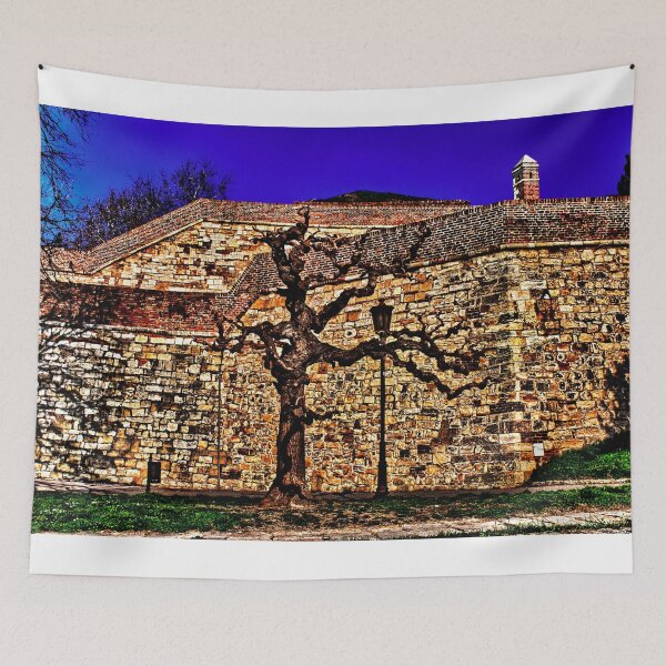 Item preview, Medieval Fortress Kalemegdan Belgrade Fine Art Print designed and sold by stockfineart.