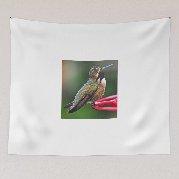 Item preview, MALE COSTA'S HUMMINGBIRD ON FEEDER designed and sold by JAYMILO.