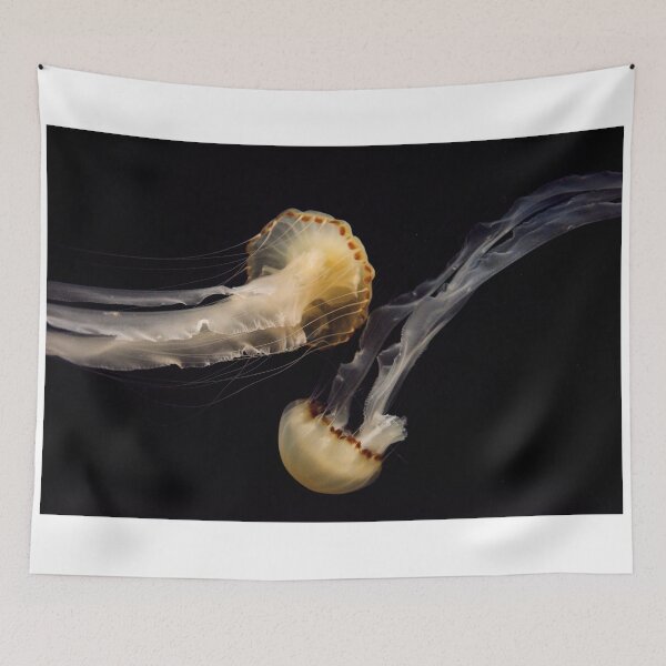 Item preview, Jellies designed and sold by Bruce Alexander.