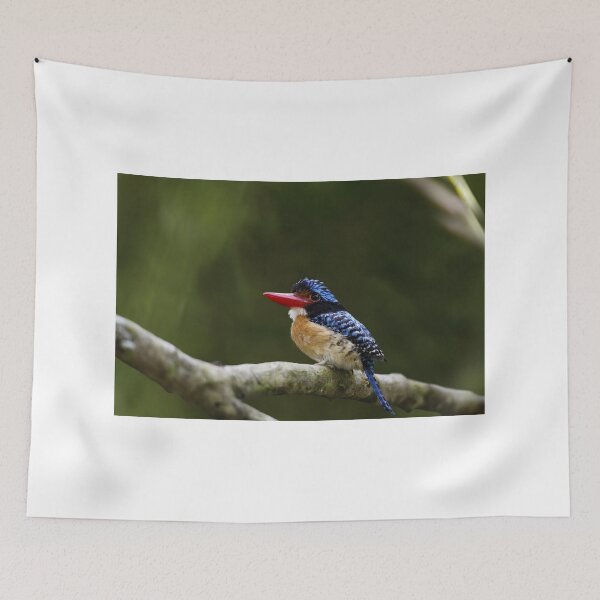 Item preview, Banded Kingfisher designed and sold by Jeremy Weiss.