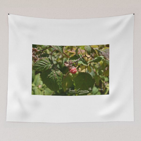 Item preview, jan juc garden at home designed and sold by brittavanden.