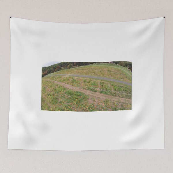 Item preview, Arial Pumpkin Patch Photo from Drone designed and sold by PugDronePhotos.