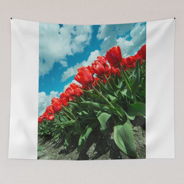 Item preview, Sky Tulips  designed and sold by hawkie.