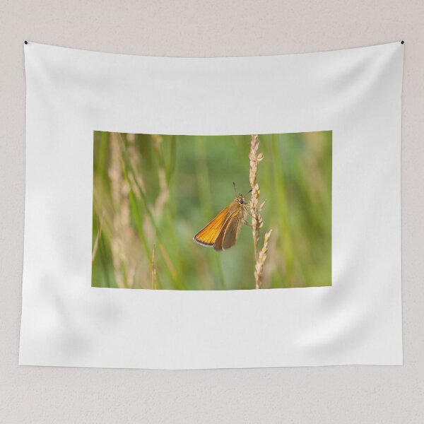 Item preview, Orangement designed and sold by EugeJ.