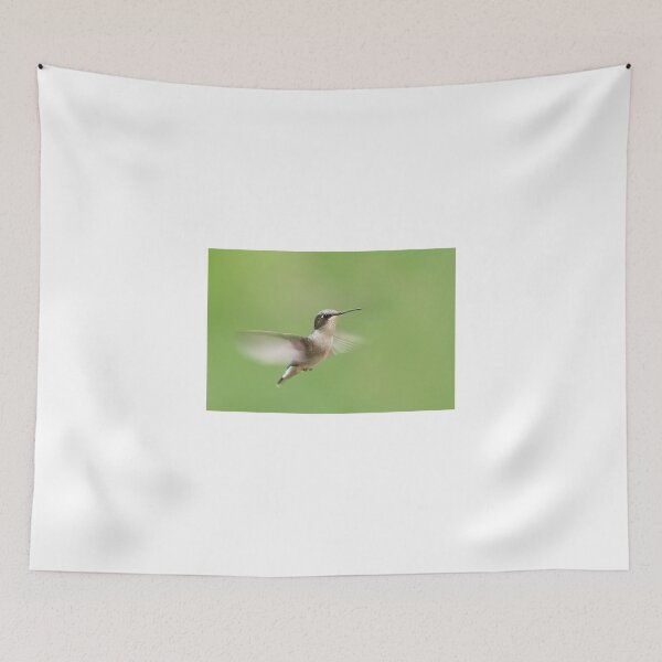 Item preview, Ruby-throated Hummingbird designed and sold by James Cumming.