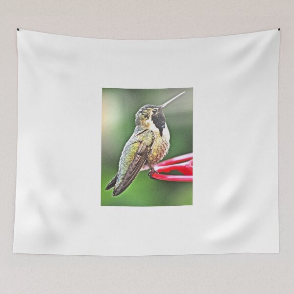 Item preview, MALE COSTA'S WHITE EARED HUMMINGBIRD ON PERCH designed and sold by JAYMILO.