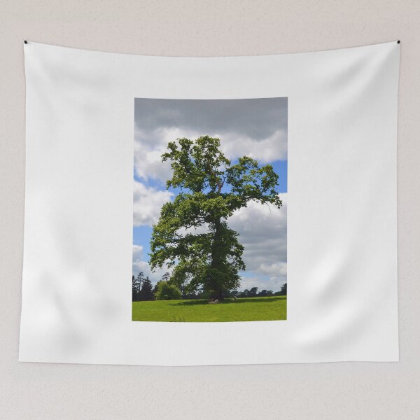 Item preview, A Tall Tree--Chard Somerset,UK designed and sold by lynn carter.