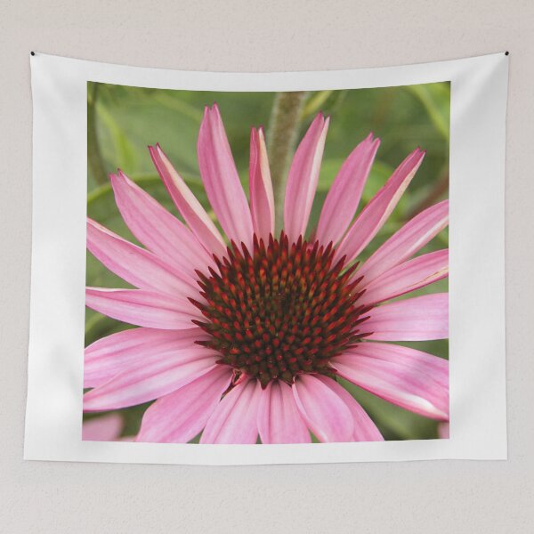 Item preview, Cone Flower Beauty designed and sold by coribeth.