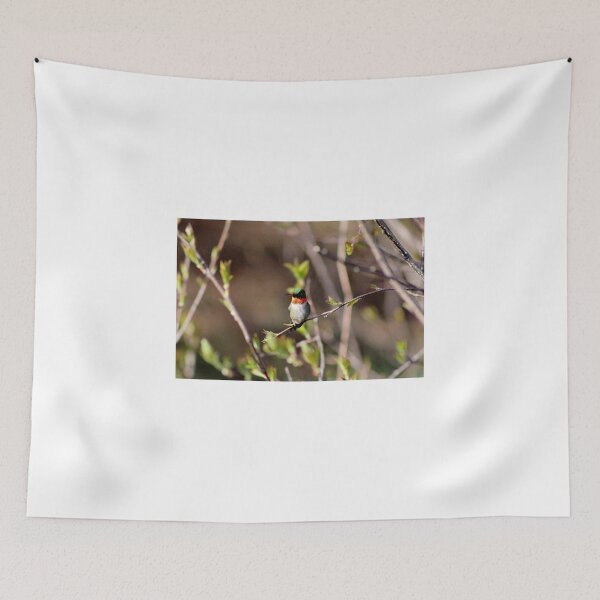 Item preview, Ruby-throated Hummingbird (Male) designed and sold by Kathleen Daley.
