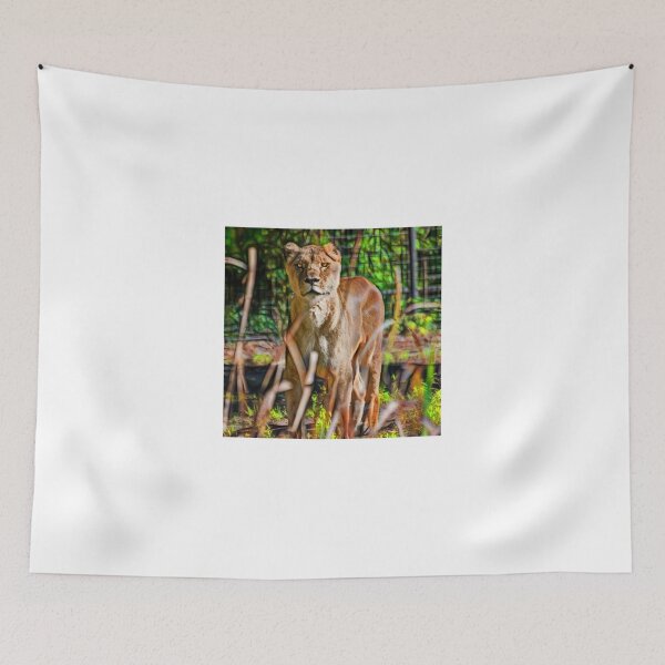 Item preview, Watchful Lioness designed and sold by miroslava.