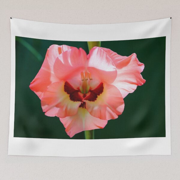 Item preview, Claire Rosé Fleuri designed and sold by Bad Habits Lounge Studio.