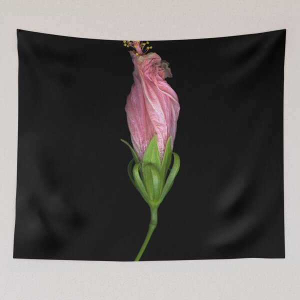 Item preview, Fading Hibiscus designed and sold by scankunst.