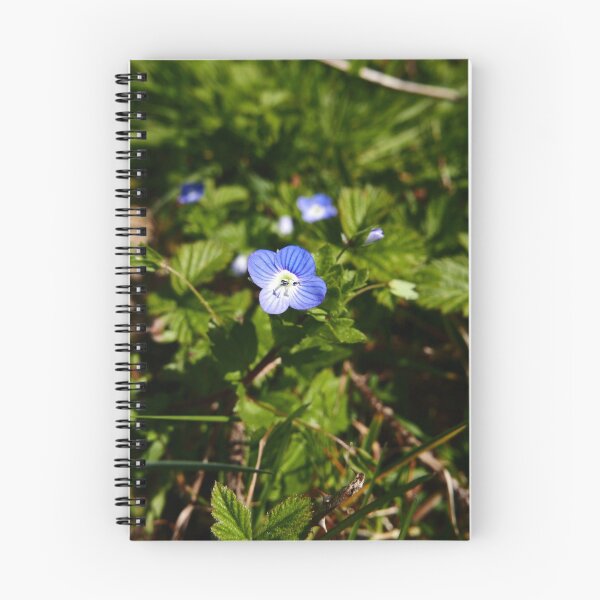 Item preview, Common Field Speedwell (Veronica persica) designed and sold by IOMWildFlowers.