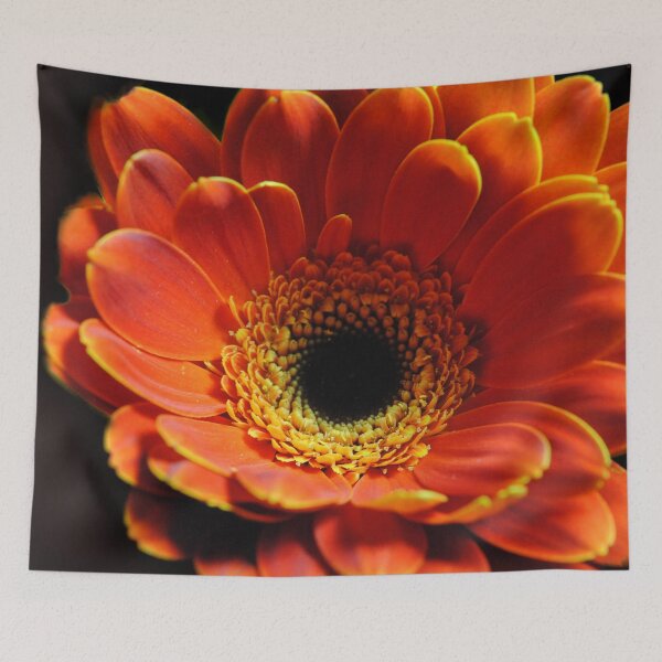 Item preview, Orange Gerbera Daisy on Black designed and sold by bloomingvine.