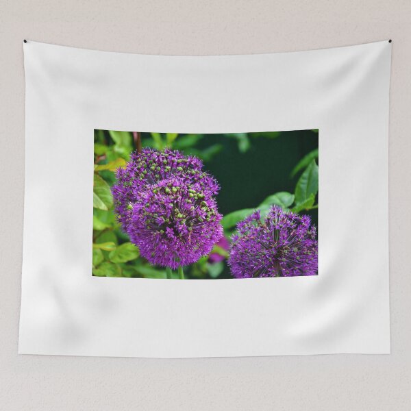 Item preview, Purple Allium  Globes........ designed and sold by lynn carter.