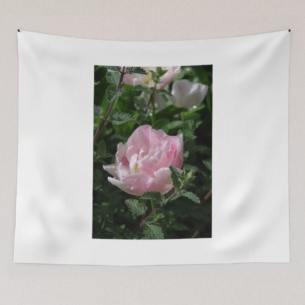 Item preview, Pink Beauty (Tulip) designed and sold by lezvee.