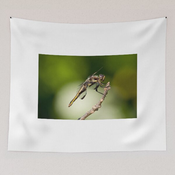 Item preview, Pro Me The Us designed and sold by EugeJ.