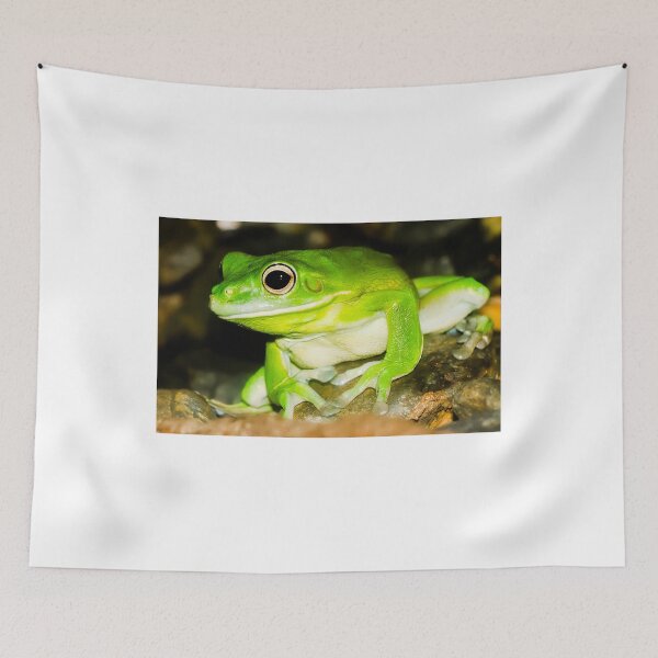 Item preview, White lipped Tree Frog designed and sold by MrBennettKent.