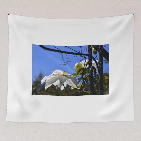 Item preview, White Clematis on Arch at Abbotsbury gardens, Dorset uk designed and sold by lynn carter.
