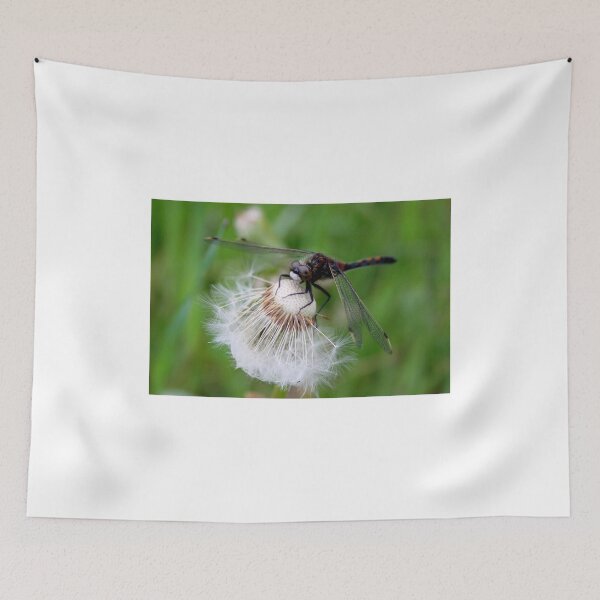 Item preview, Ruby Whiteface designed and sold by Jo Nijenhuis.