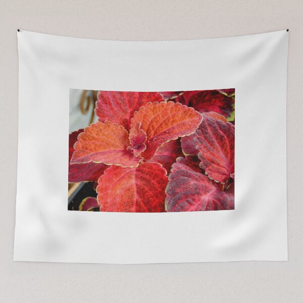 Item preview, Spring in my Backyard - I    ^ designed and sold by ctheworld.