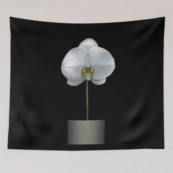 Item preview, Solitude designed and sold by scankunst.