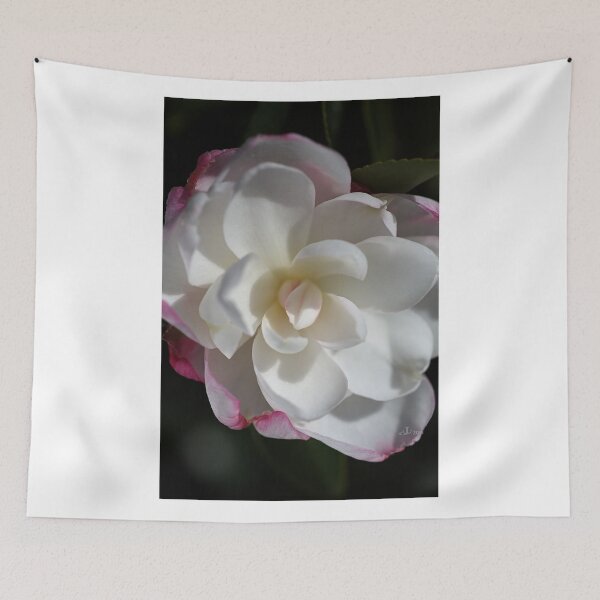 Item preview, Blushing Camellia  designed and sold by Joy Watson - Natural Light Photography .