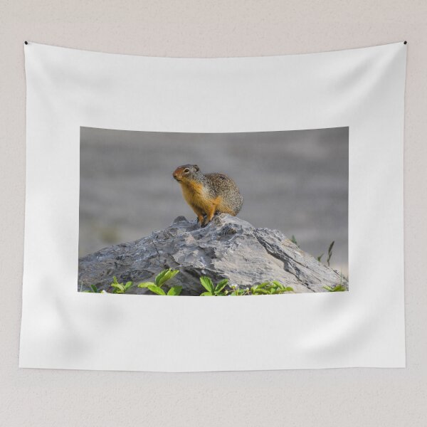 Item preview, King of the mountain designed and sold by becmayr.