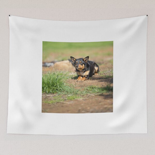 Item preview, "Missy" designed and sold by mitpjenkeating.