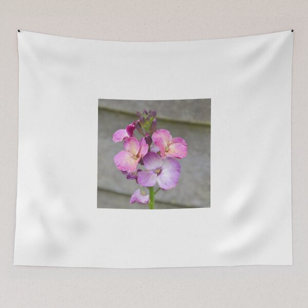 Item preview, Wallflowers in the gardens at Lyme Dorset UK designed and sold by lynn carter.