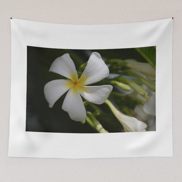 Item preview, Frangipani designed and sold by kathyholliker.