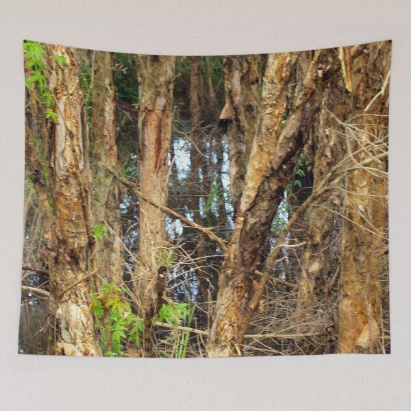 Item preview, Paper Bark Trees (Melaleuca quinquenervia) designed and sold by W E NIXON  PHOTOGRAPHY.