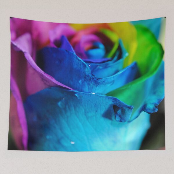 Item preview, Rainbow Rose 3 designed and sold by bloomingvine.