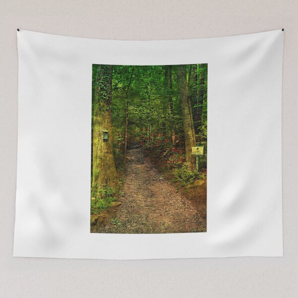 Item preview, Enchanted Forest designed and sold by Scott Mitchell.