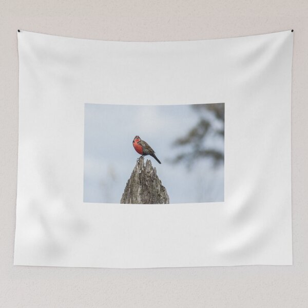 Item preview, 51015 looking at you designed and sold by pcfyi.