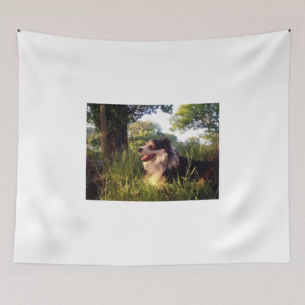 Item preview, What Dreams May Come. designed and sold by Michael Haslam.