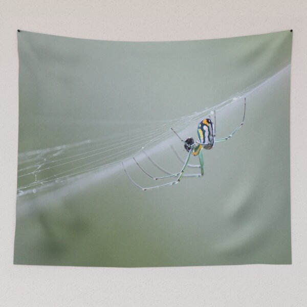 Item preview, Weaver designed and sold by Bob Hardy.