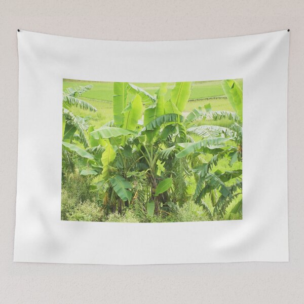 Item preview, Banana Tree designed and sold by SamirArt.