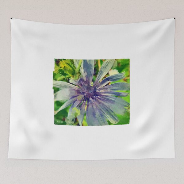 Item preview, Chicory Flower designed and sold by Barbara Storey.