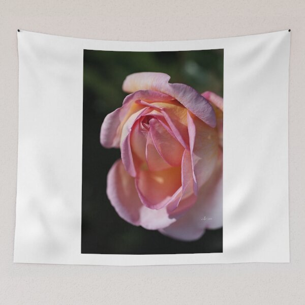 Item preview, Sweet Rose designed and sold by Joy Watson - Natural Light Photography .
