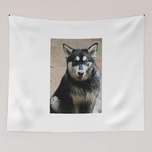 Item preview, In The Water? Nooo designed and sold by Ladymoose.