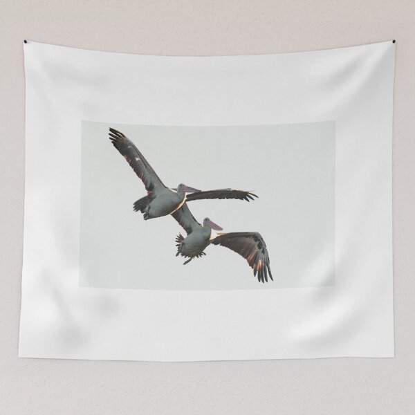 Item preview, Unruly Pelican Antics designed and sold by byronbackyard.