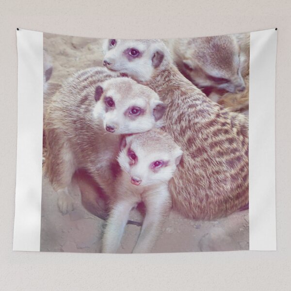 Item preview, soulful meerkats designed and sold by lensbaby.